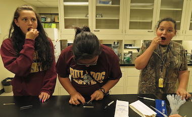 Students swabbing for cell samples
