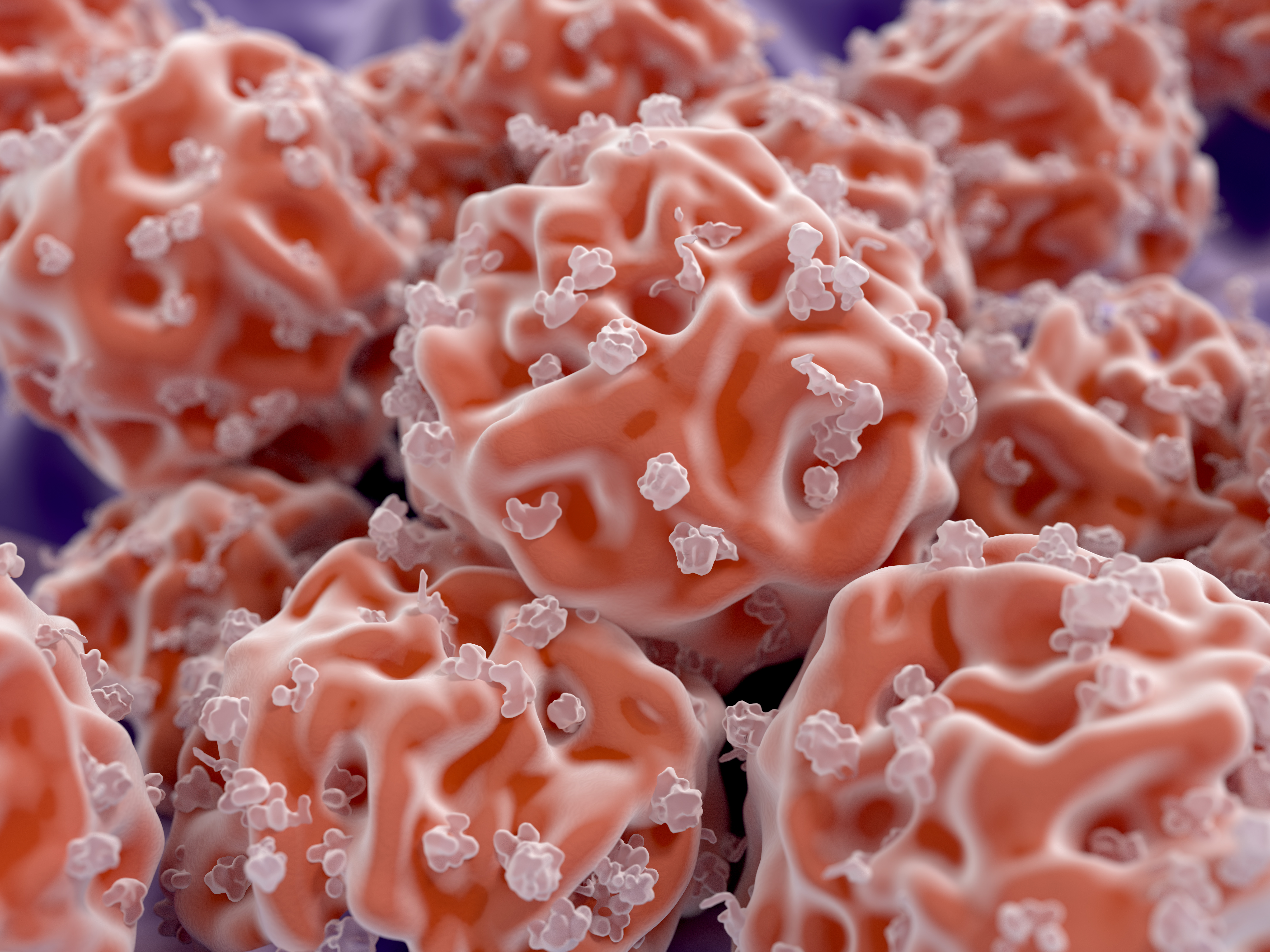 Image of stem cells